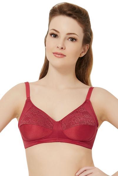 Amante Saree Shaper Bra-BRA30301 Climbing Ivy