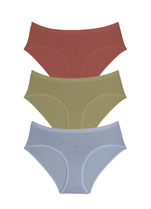 Cotton Hipster Brief Solid Pack Of 3 XS / C0024 - amanté Panty