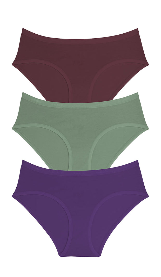 Cotton Hipster Brief Solid Pack of 3 L / B169 - amanté Panty