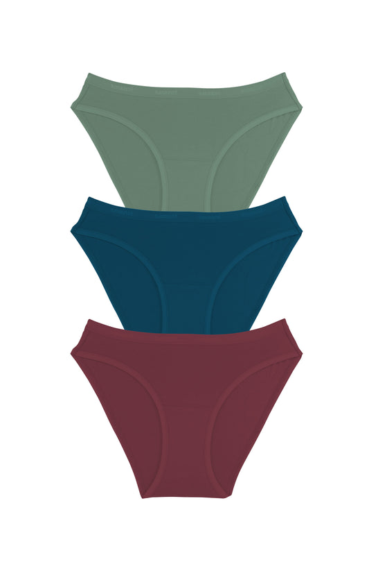 Cotton Bikini Brief Solid Pack Of 3 XS / C0030 - amanté Panty