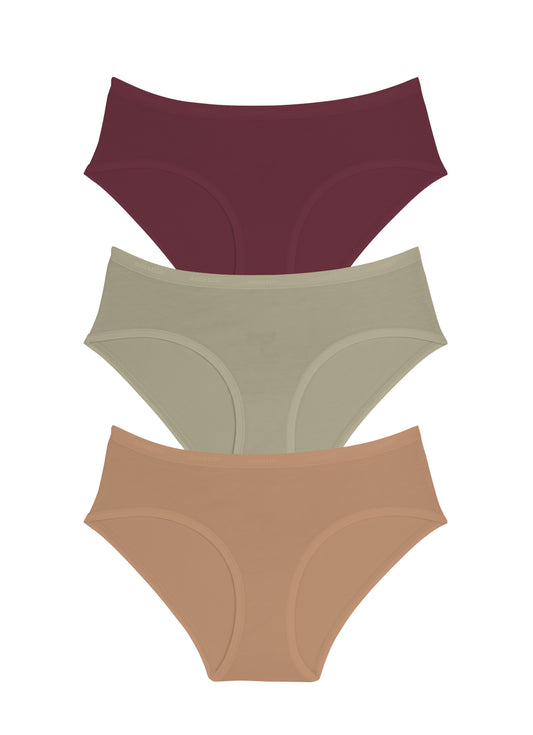 Cotton Hipster Brief Solid Pack Of 3 M / C016 - amanté Panty