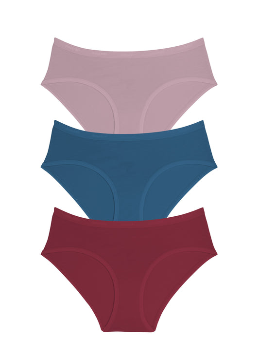 Cotton Hipster Brief Solid Pack of 3 - amanté Panty