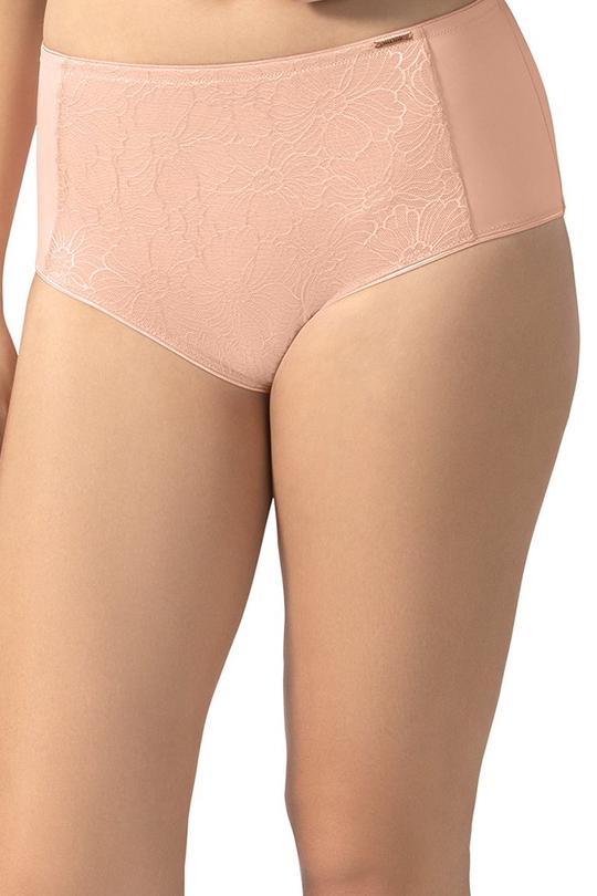 Sheer Lace Panty  - amanté Pantie - Image 5 of 6